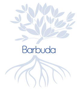 Discover Barbuda island, Caribbean