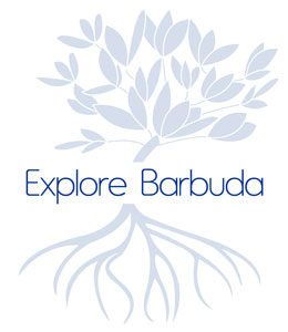 Discover Barbuda island, Caribbean